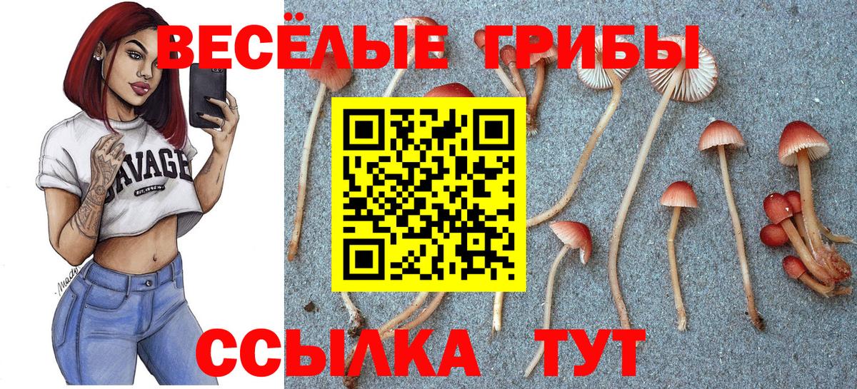 Псилоцибиновые грибы MAGIC MUSHROOMS  Вход с VPN  Урай 